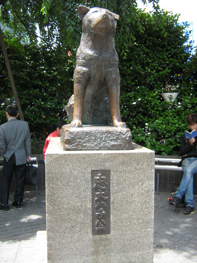 Хатико николаевское. Памятник Хатико. Сибуя Хатико. Хатико настоящий Сибуя 1933. Памятник Хатико в Токио.